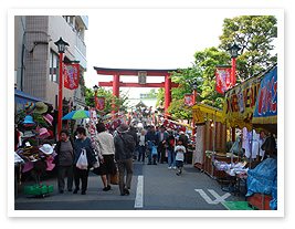 Photo-3